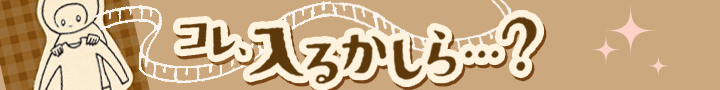 これ、入るかしら?