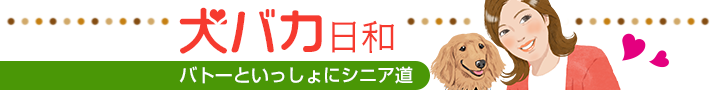 四十路犬バカ日和